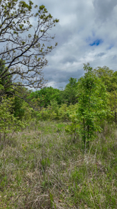 Land for sale in St. Clair County - image 15