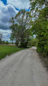 Land for sale in St. Clair County - image 11