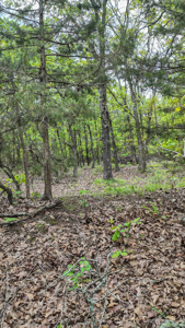 Land for sale in St. Clair County - image 9