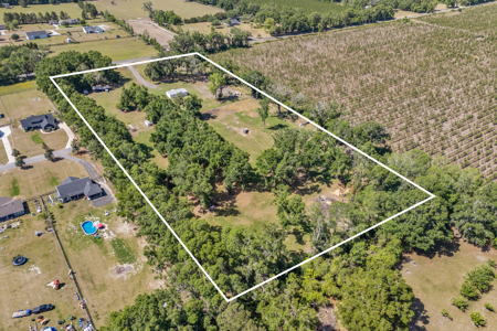 10+ Beautiful Acres With A Home In High Springs, Fl! - image 40