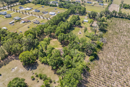 10+ Beautiful Acres With A Home In High Springs, Fl! - image 37