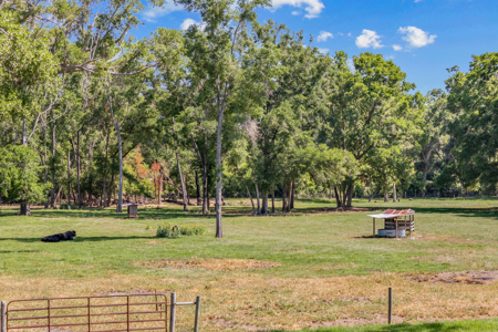 10+ Beautiful Acres With A Home In High Springs, Fl! - image 34