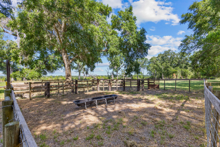 10+ Beautiful Acres With A Home In High Springs, Fl! - image 29