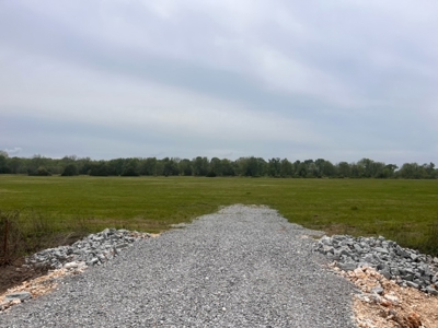 5 Acres For Sale in Gravette, Arkansas - image 4