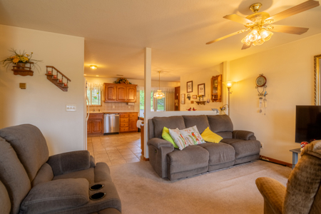 Cameron Mo Ranch Home For Sale - image 6