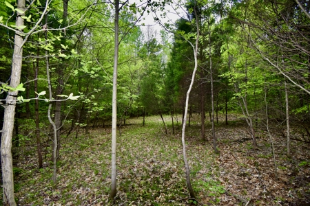Secluded Crawford County Cabin in Southern Indiana - image 18