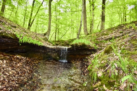 Secluded Crawford County Cabin in Southern Indiana - image 12