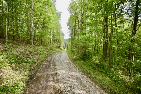 Secluded Crawford County Cabin in Southern Indiana - image 25