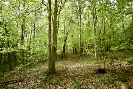 Secluded Crawford County Cabin in Southern Indiana - image 24