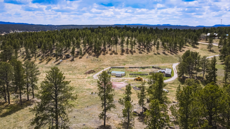 Custer South Dakota Acreage For Sale - image 9