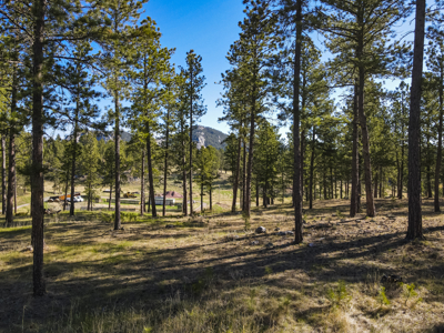 Custer South Dakota Acreage For Sale - image 10