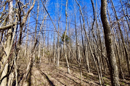 Warrick County Indiana Land For Sale - image 5