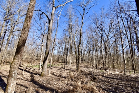 Warrick County Indiana Land For Sale - image 3