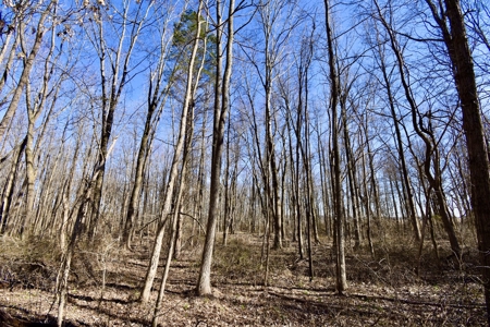 Warrick County Indiana Land For Sale - image 8