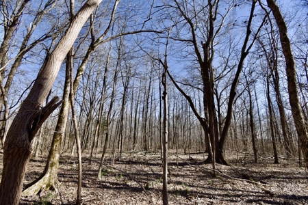 Warrick County Indiana Land For Sale - image 4