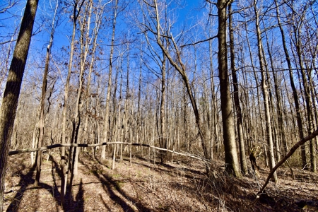 Warrick County Indiana Land For Sale - image 7