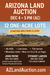 Online Auction: 12 One-Acre Lots in Dolan Springs – Ends Dec 4 - image 11