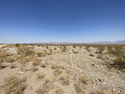 Online Auction: 10 One-Acre Lots in Dolan Springs – Ends Oct 1 - image 8