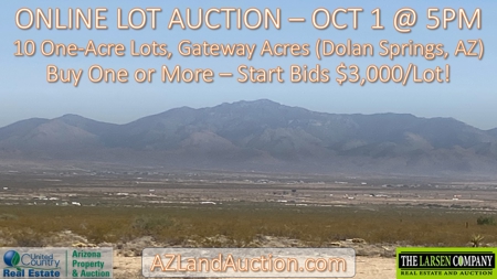 Online Auction: 10 One-Acre Lots in Dolan Springs – Ends Oct 1 - image 13