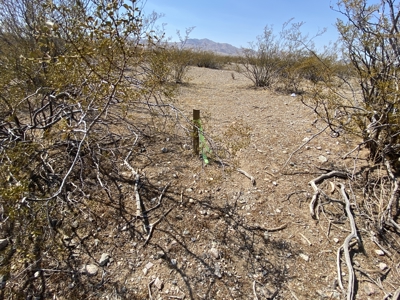 Online Auction: 10 One-Acre Lots in Dolan Springs – Ends Oct 1 - image 4