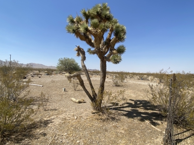 Online Auction: 10 One-Acre Lots in Dolan Springs – Ends Oct 1 - image 5