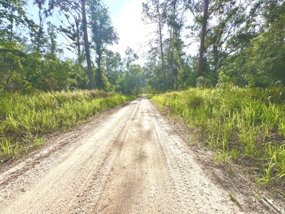 Land For Sale In Lafayette County By The Suwannee River!!! - image 2