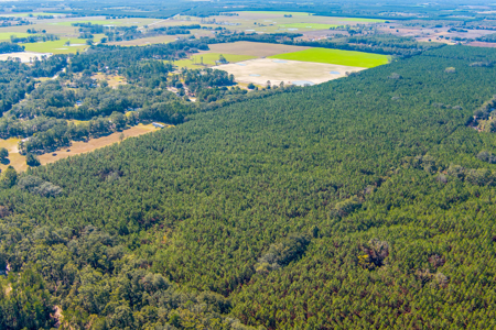 Land For Sale In Suwannee County!!! - image 8