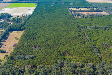Land For Sale In Suwannee County!!! - image 6