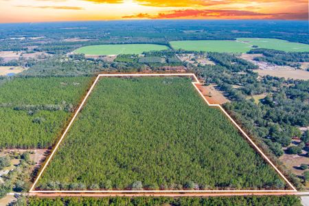 Land For Sale In Suwannee County!!! - image 1