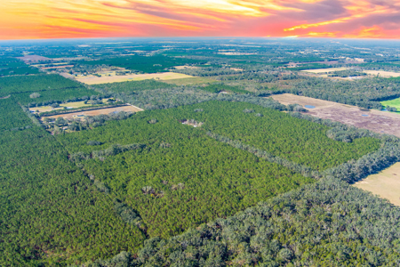Land For Sale In Suwannee County!!! - image 7