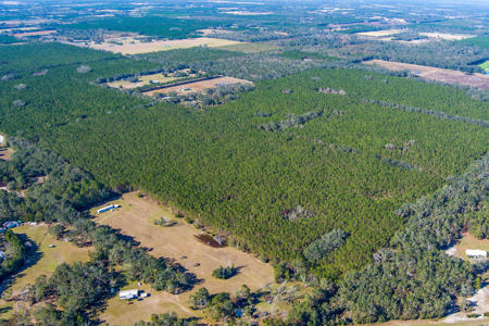 Land For Sale In Suwannee County!!! - image 5