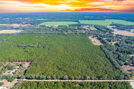Land For Sale In Suwannee County!!! - image 2