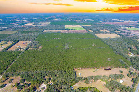 Land For Sale In Suwannee County!!! - image 4