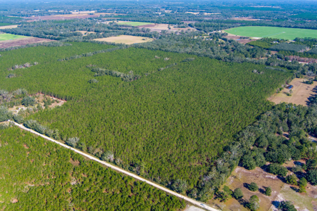 Land For Sale In Suwannee County!!! - image 3