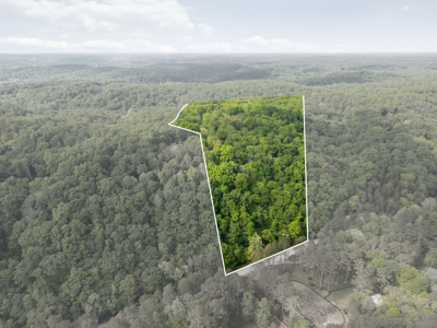 Luxury Woodland Retreat Minutes from Leipers Fork & Franklin - image 7