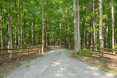 Luxury Woodland Retreat Minutes from Leipers Fork & Franklin - image 11