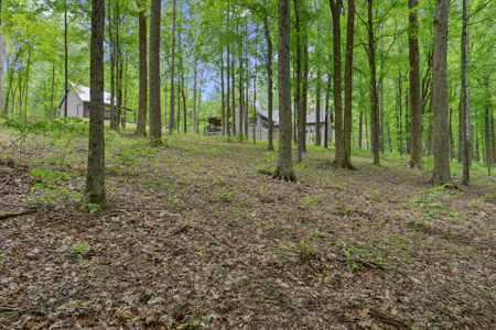 Luxury Woodland Retreat Minutes from Leipers Fork & Franklin - image 48