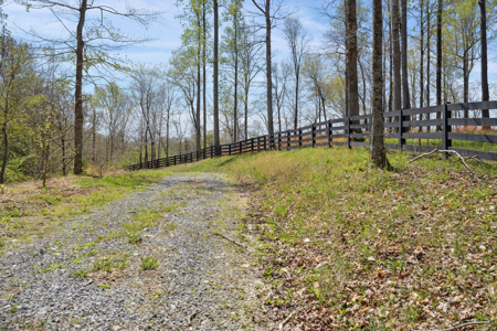 Panoramic Hilltop Paradise in Prestigious Russell Ridge - image 6
