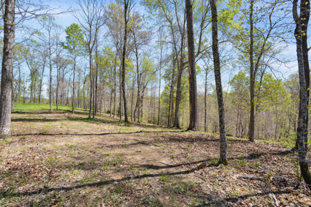 Panoramic Hilltop Paradise in Prestigious Russell Ridge - image 9