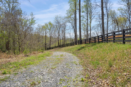 Panoramic Hilltop Paradise in Prestigious Russell Ridge - image 7