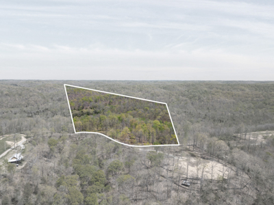 Panoramic Hilltop Paradise in Prestigious Russell Ridge - image 2