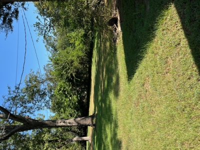 3 Bedroom house for sale Kilgore TX - image 4