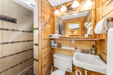 This Lodge is a vacation rental resort near Grand Mesa - image 30