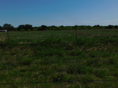 Amazing 43.03 acres inside the Brownwood Texas city limits - image 19
