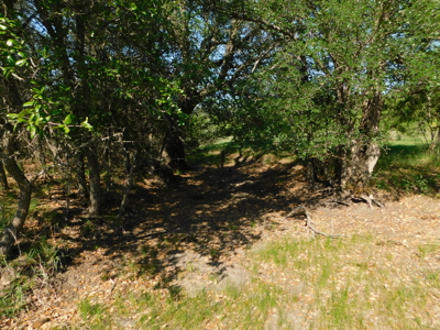 Amazing 43.03 acres inside the Brownwood Texas city limits - image 33