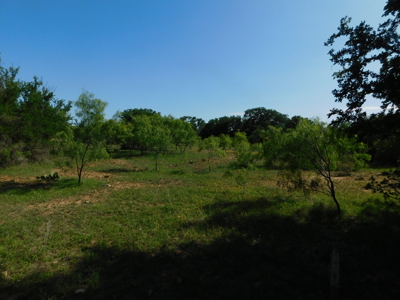 Amazing 43.03 acres inside the Brownwood Texas city limits - image 12