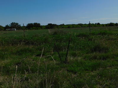 Amazing 43.03 acres inside the Brownwood Texas city limits - image 17