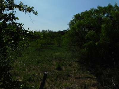 Amazing 43.03 acres inside the Brownwood Texas city limits - image 5
