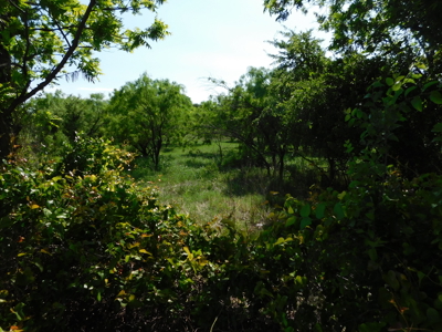 Amazing 43.03 acres inside the Brownwood Texas city limits - image 8