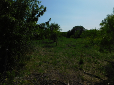 Amazing 43.03 acres inside the Brownwood Texas city limits - image 4